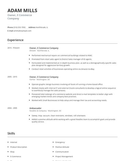 Owner, E Commerce Company Resume