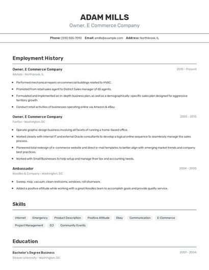 Owner, E Commerce Company Resume