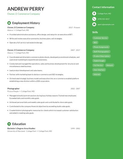 Owner, E Commerce Company Resume