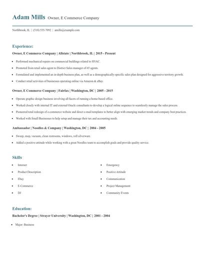Owner, E Commerce Company Resume