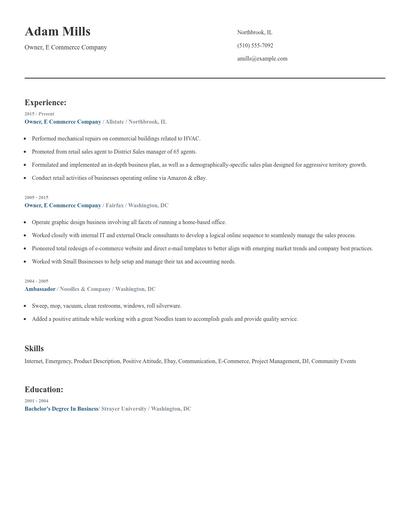 Owner, E Commerce Company Resume