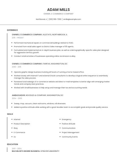 Owner, E Commerce Company Resume