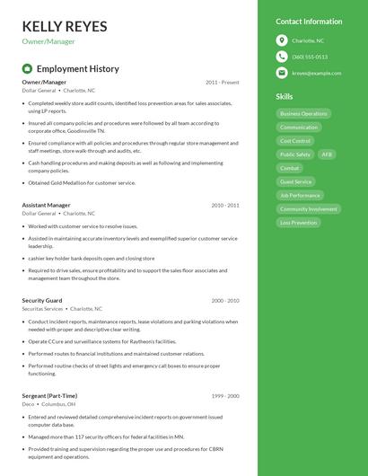 Resume example 4