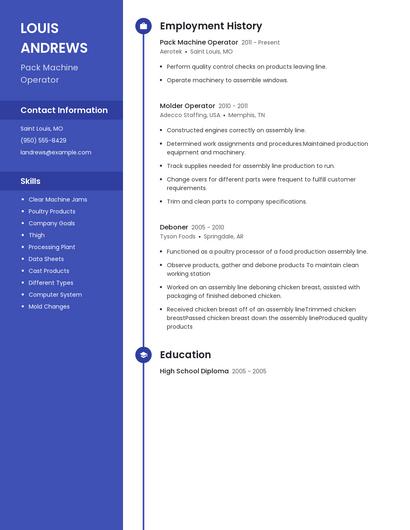 Resume example 4