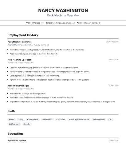 Resume example 2