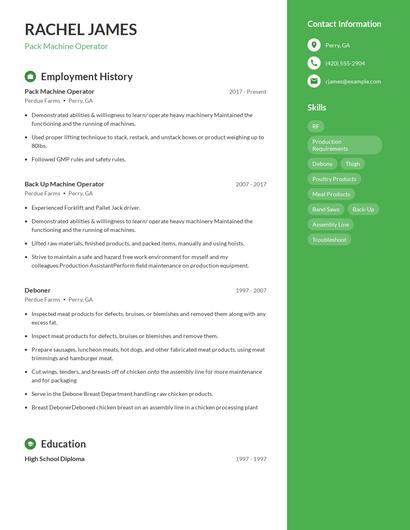 Resume example 5