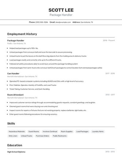 Resume example 2