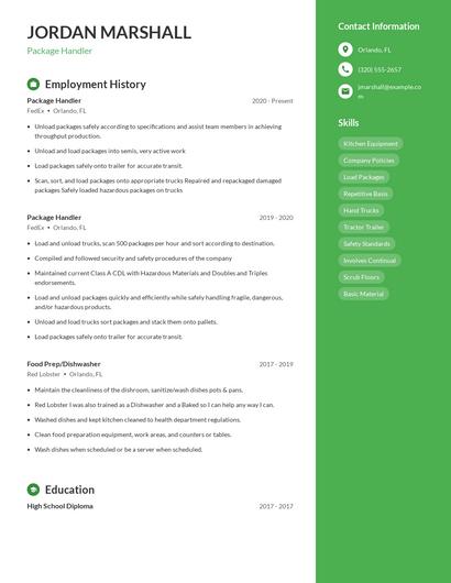 Resume example 5