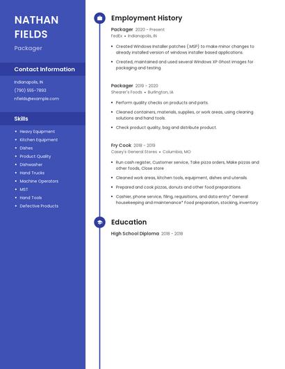 Resume example 5