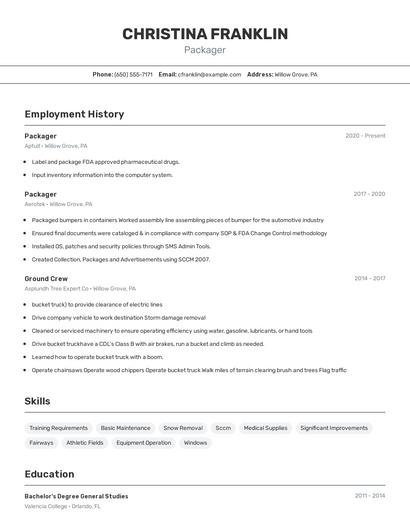 Resume example 2