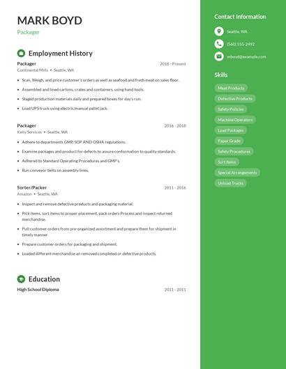 Resume example 4