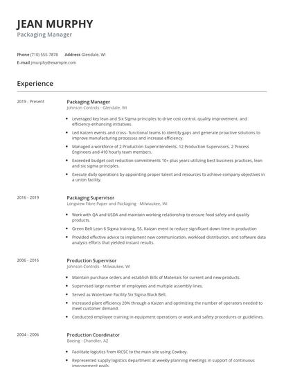 Packaging Manager Resume