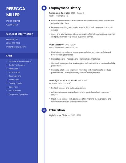 Resume example 4