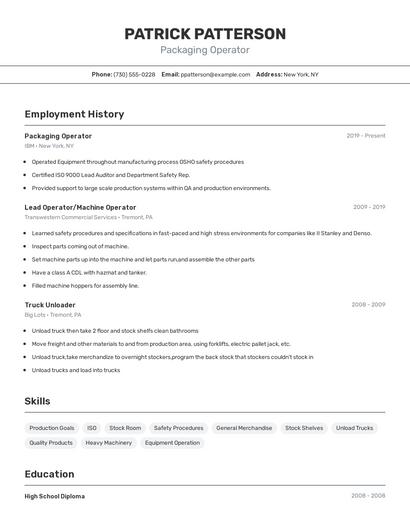 Resume example 2