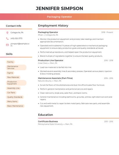 Resume example 3