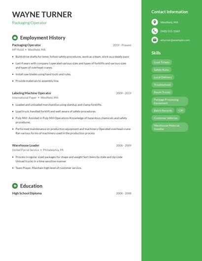 Resume example 5