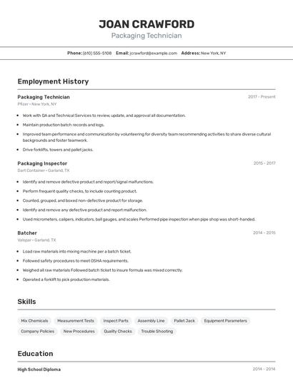 Resume example 2