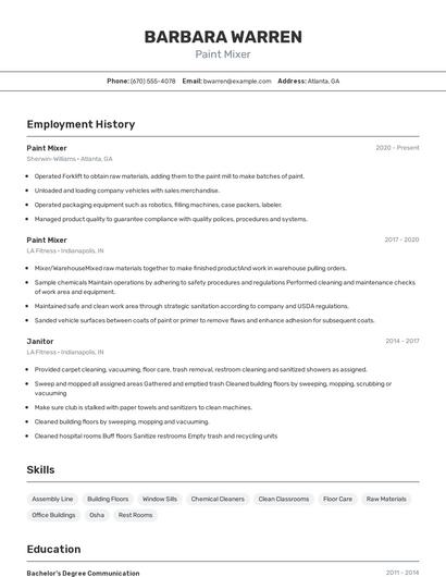 Paint Mixer Resume