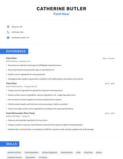 Paint Mixer Resume