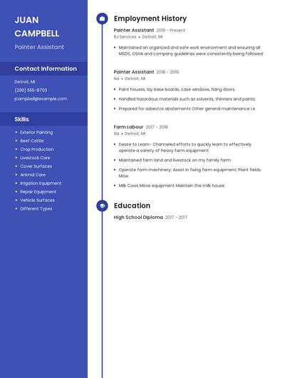 Resume example 4