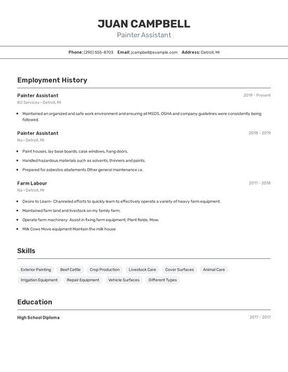 Painter Assistant Resume