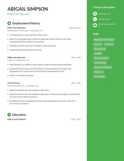 Resume example 4