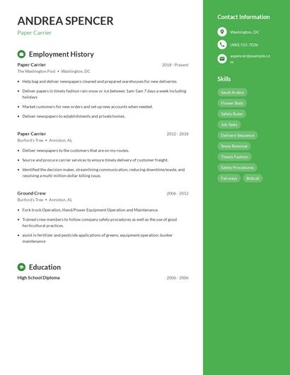 Paper Carrier Resume
