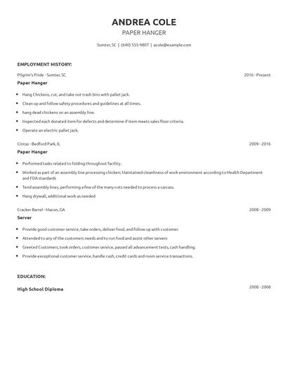 Paper Hanger Resume