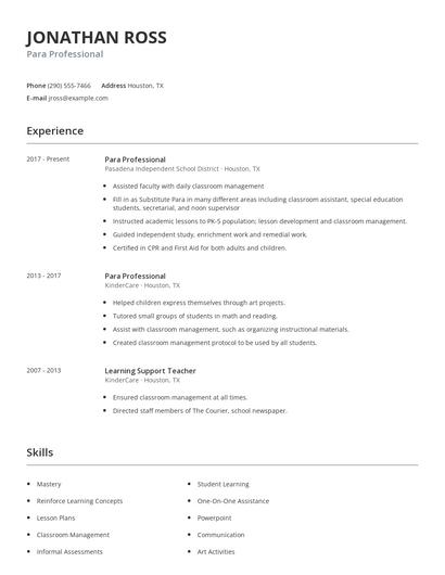 Para Professional Resume