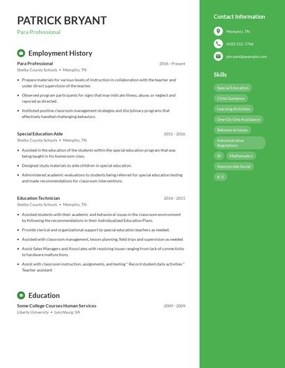 Resume example 4