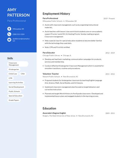 Para Professional Resume