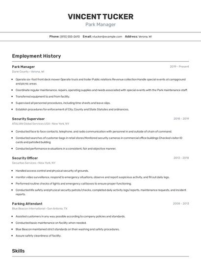 Resume example 2
