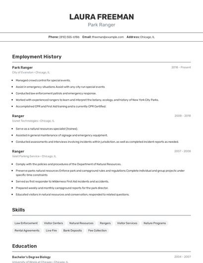 Resume example 2