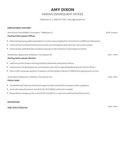 Parking Enforcement Officer Resume