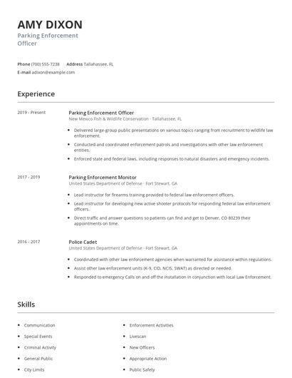 Parking Enforcement Officer Resume