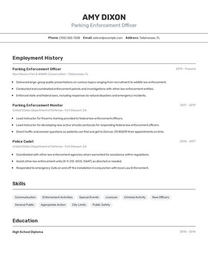 Parking Enforcement Officer Resume