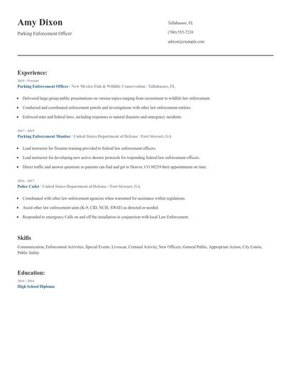 Parking Enforcement Officer Resume