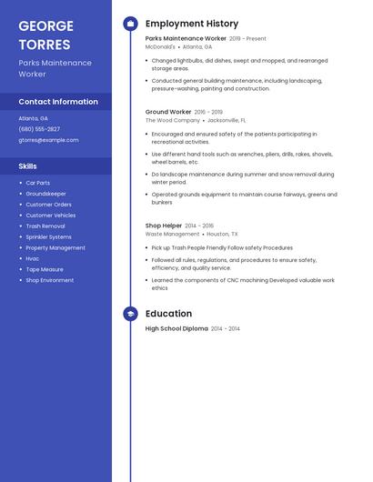 Resume example 5