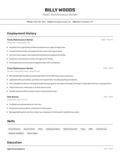 Resume example 2