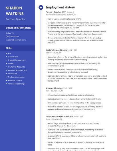 Partner-Director Resume
