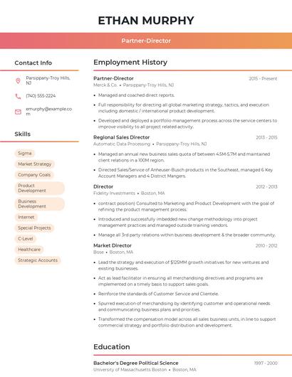 Partner-Director Resume