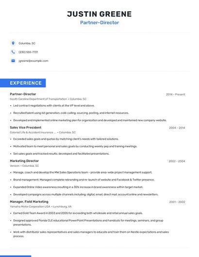 Partner-Director Resume