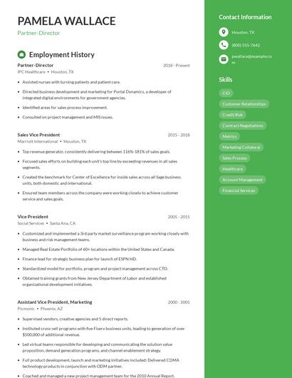 Partner-Director Resume