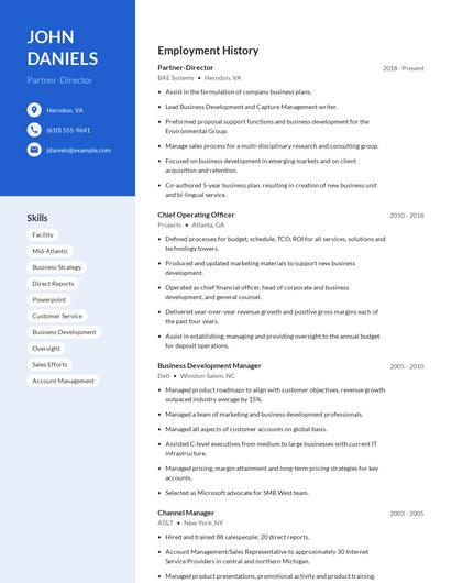 Partner-Director Resume