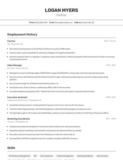 Partner Resume