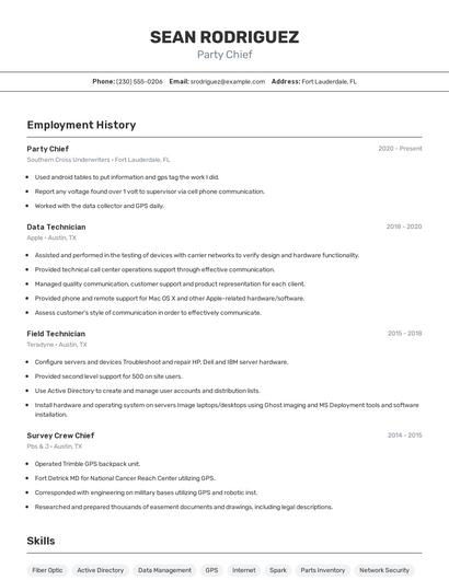 Resume example 2