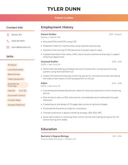 Patent Drafter Resume