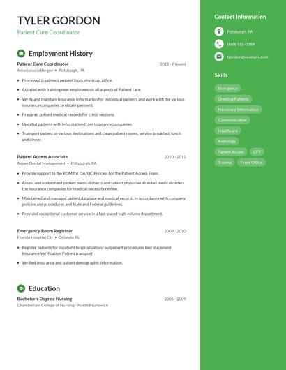 Resume example 5