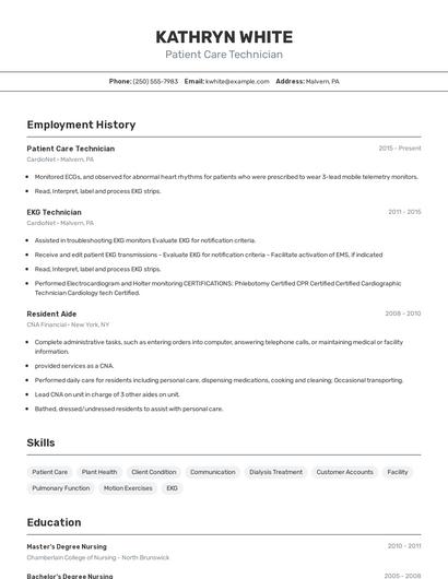 Resume example 2