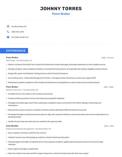 Pawn Broker Resume